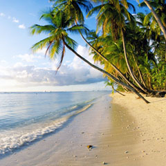 location villa